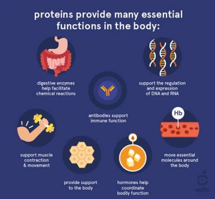 What Does Protein Kinase A Do? Exploring its Roles and Functions