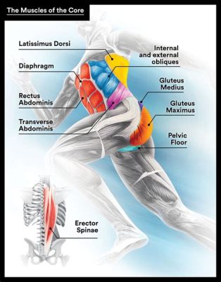 what muscle groups does running work what type of shoes should you wear for running